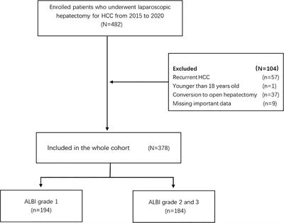 Association of preoperative albumin–bilirubin with surgical textbook outcomes following laparoscopic hepatectomy for hepatocellular carcinoma